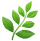 🌿-Sep-25-2025-12-30-41-1854-PM