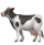 🐄-Sep-25-2025-05-22-49-2279-AM