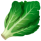 🥬-Sep-25-2025-05-27-31-3979-AM