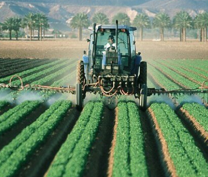 Conventional, Broad-Acre Agriculture