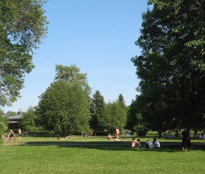 Municipal Landscape and Turf