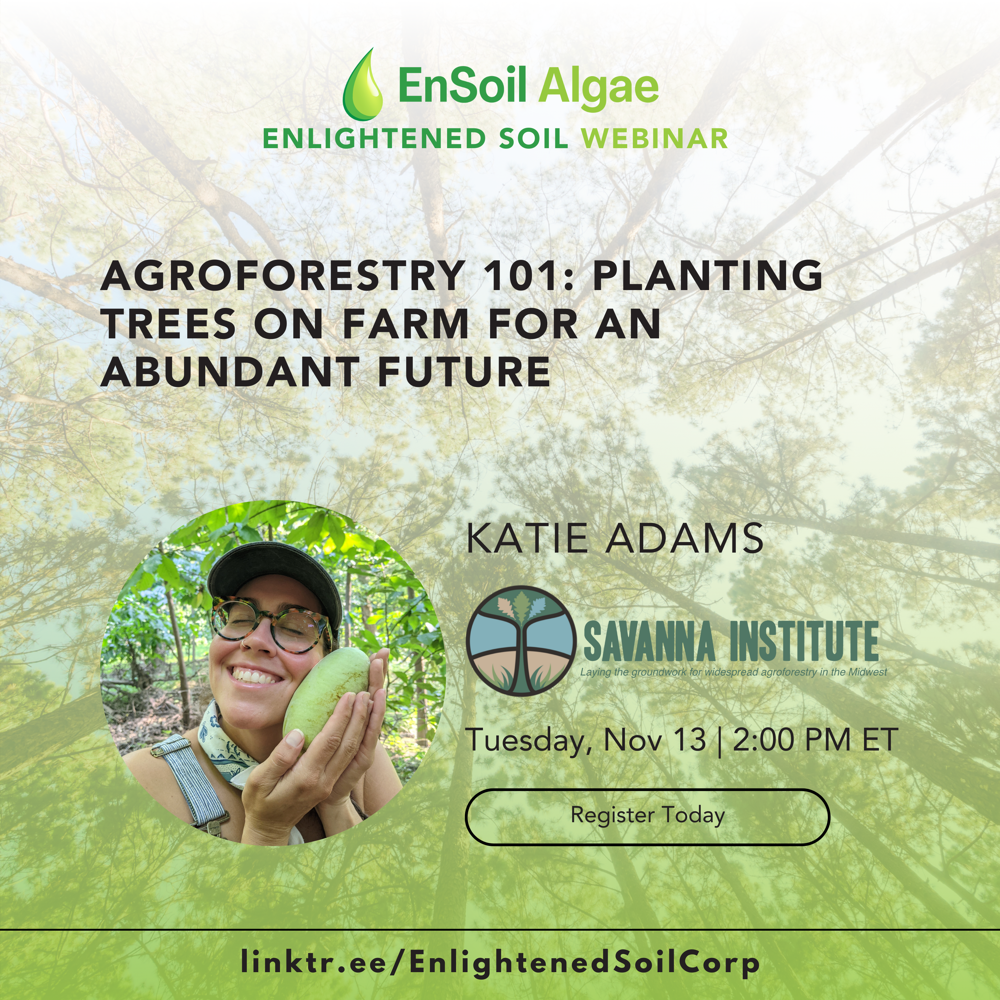 Agroforestry 101: Planting Trees on Farm for an Abundant Future