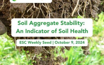 Soil Aggregate Stability: An Indicator of Soil Health