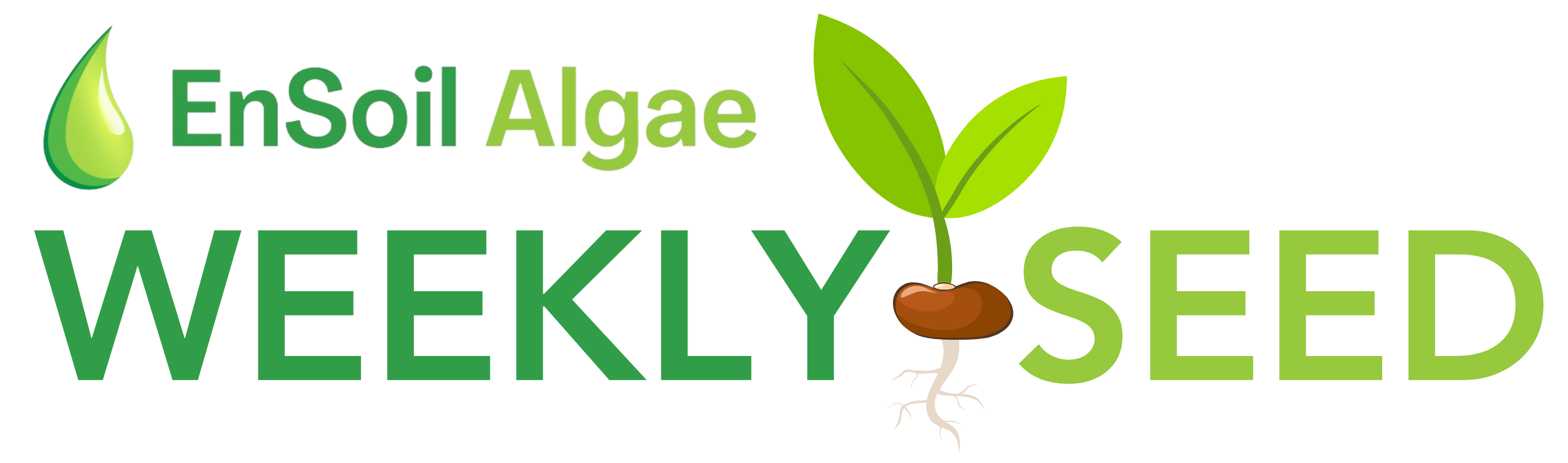 WEEKLY SEED